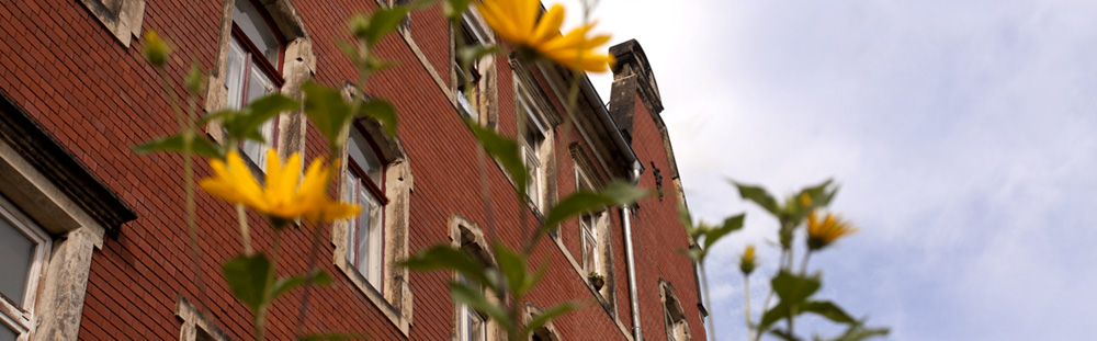 Braunsdorfer Strasse